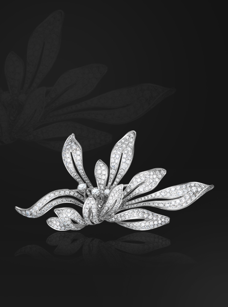 z6��������ʱ(�й�)�ٷ���վ