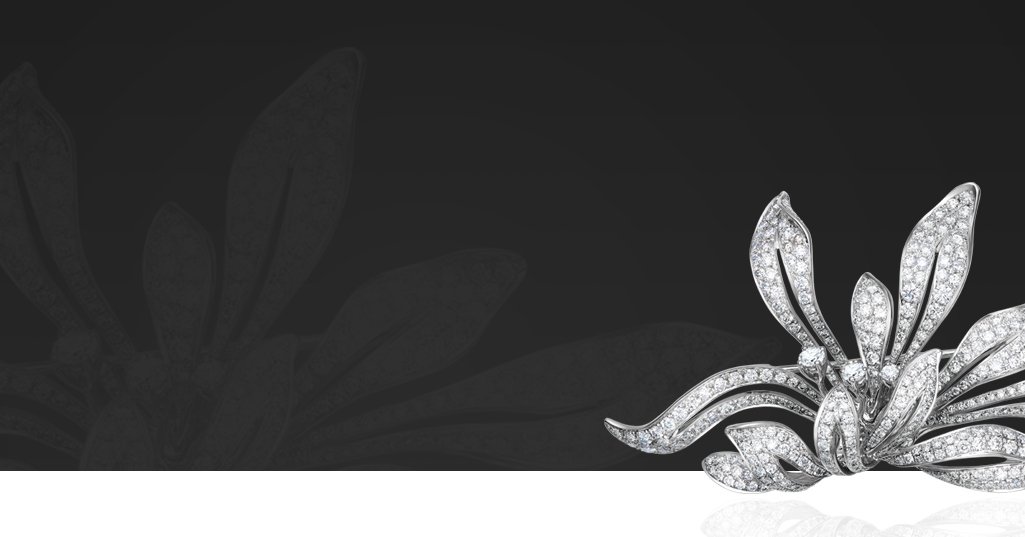 z6��������ʱ(�й�)�ٷ���վ