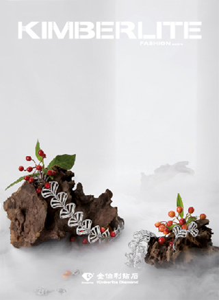 z6��������ʱ(�й�)�ٷ���վ