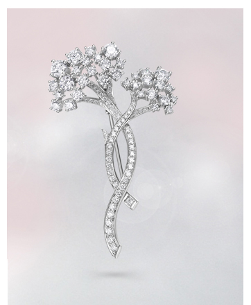 z6��������ʱ(�й�)�ٷ���վ