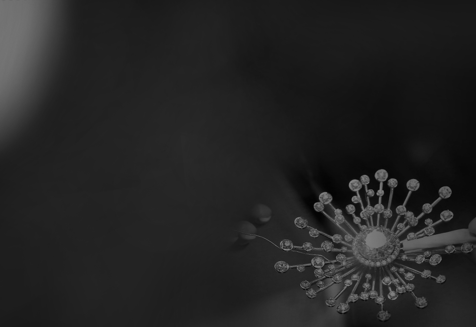 z6��������ʱ(�й�)�ٷ���վ