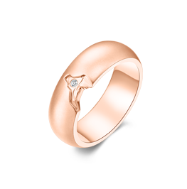 z6��������ʱ(�й�)�ٷ���վ