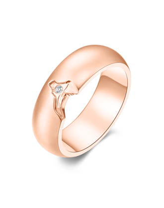 z6��������ʱ(�й�)�ٷ���վ