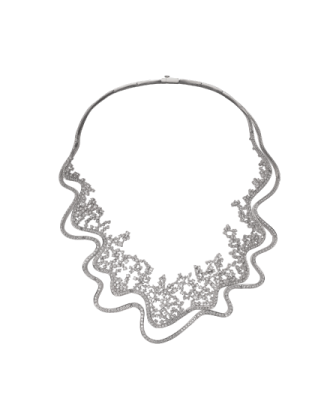 �����ǳ�ϵ������