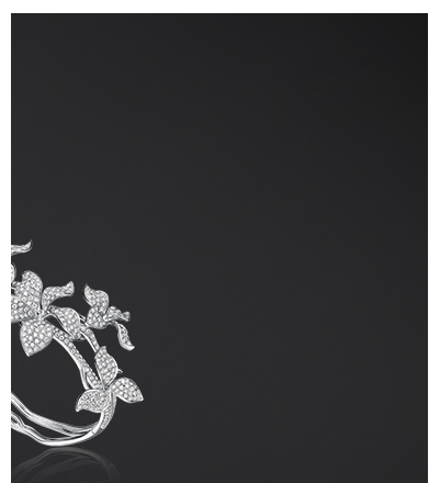 z6��������ʱ(�й�)�ٷ���վ�߼��鱦�������ഺA��