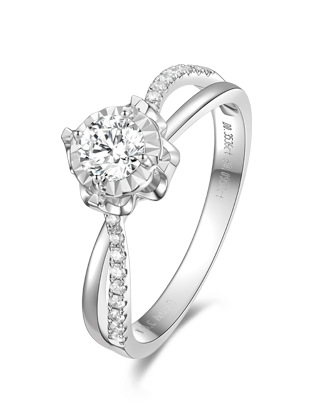 �ﶬ��䡶Ψ��֮�⡷