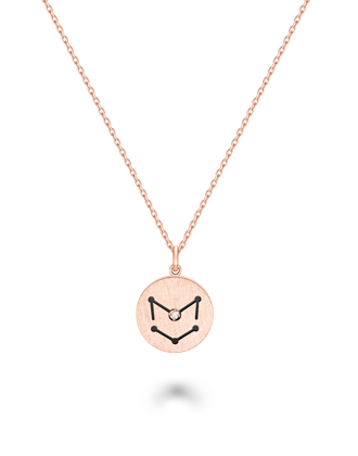 Ħ������׹