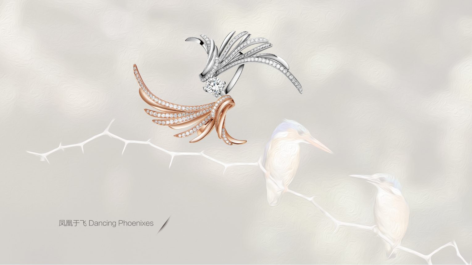 ������ڷɡ���ָ