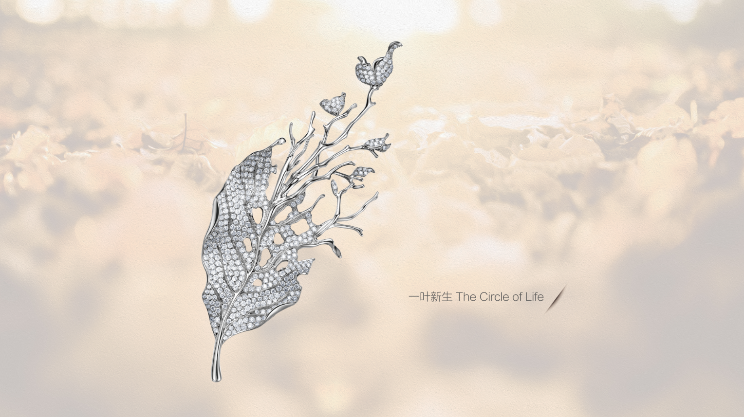 ��һҶ����������